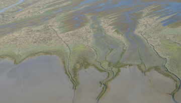 Vue aérienne de la réserve naturelle de la Baie de l'Aiguillon