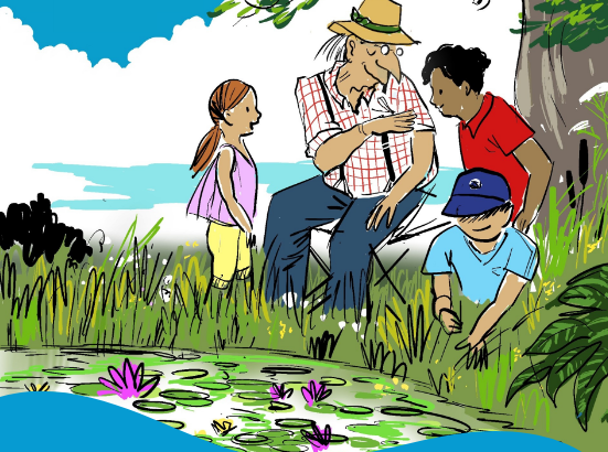 Fête des mares du 6 au 14 juin : Les mares, éveiller et transmettre