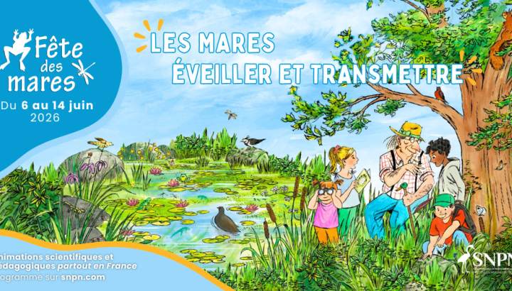 Fête des mares du 6 au 14 juin : Les mares, éveiller et transmettre