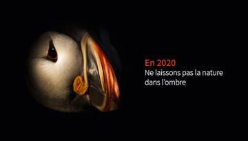 Macareux moine dans l'ombre et texte : En 2020, ne laissons pas la nature dans l'ombre
