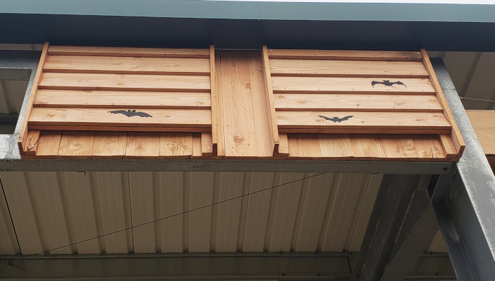 Abri à chauves-souris