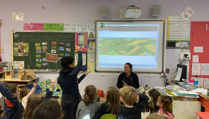 Animation dans une école