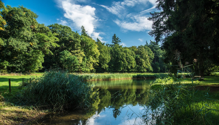 Etang au printemps © Pixabay