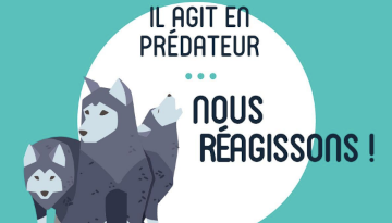 Campagne contre le harcèlement Sytral Lyon