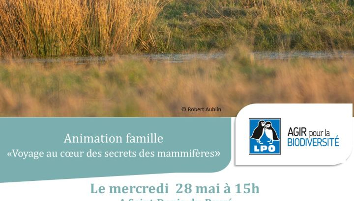 Une quarantaine de mammifères peuplent la réserve naturelle