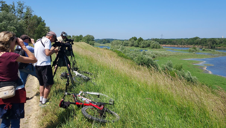 © Françoise Mathé