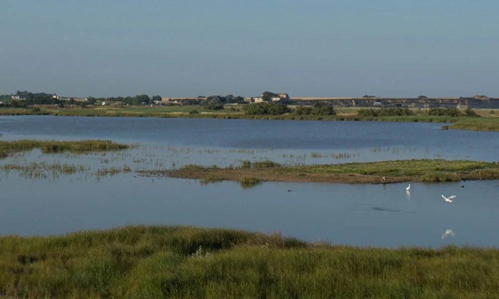HIVER " les 4 saisons de la réserve naturelle du marais d'Yves"