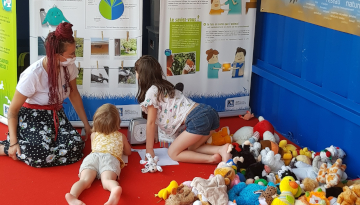 Atelier de peluchologie