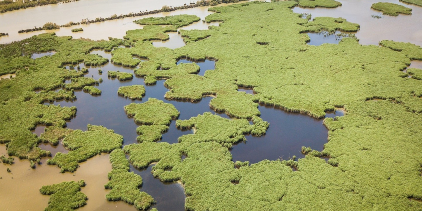 L’avenir des marais de Camargue orientale soutenu par le loto de la biodiversité