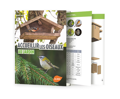 Accueillir les oiseaux au jardin