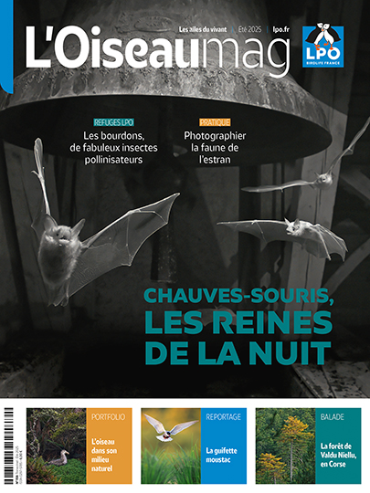 L'OISEAU MAG