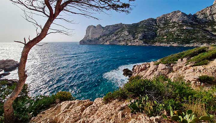Pétition: Pour une nouvelle réglementation de la chasse au sein du Parc national des Calanques