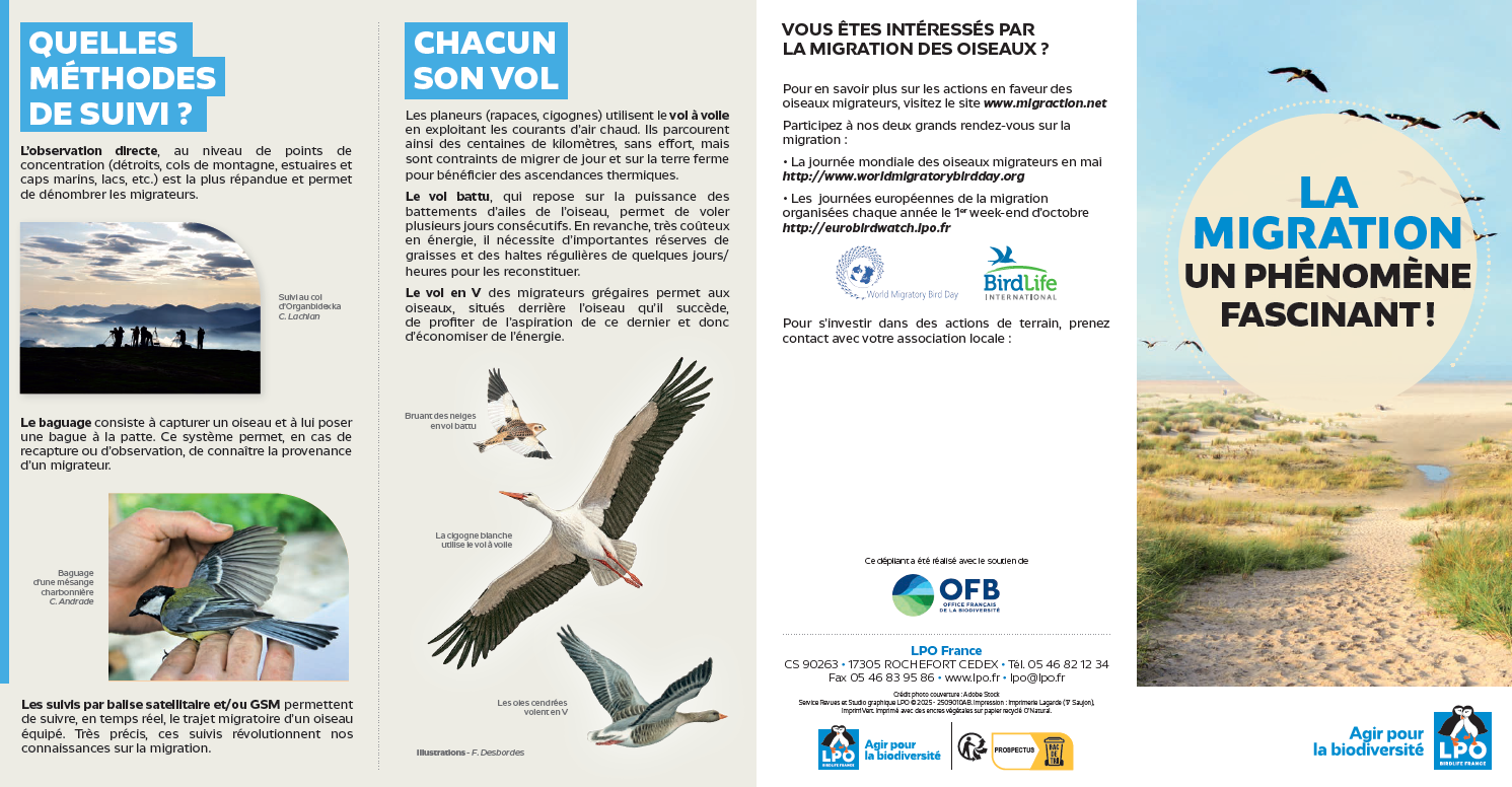 depliant EuroBirdWatch