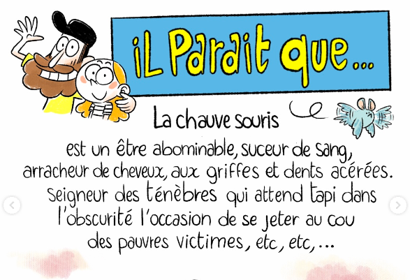 IL PARAIT que… la Chauve souris