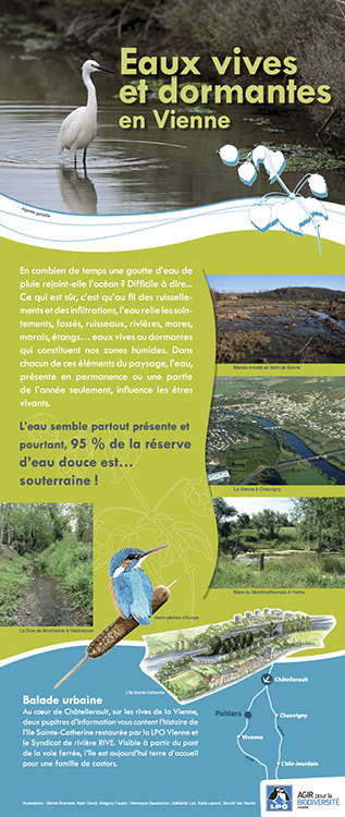Eaux vives et dormantes en Vienne