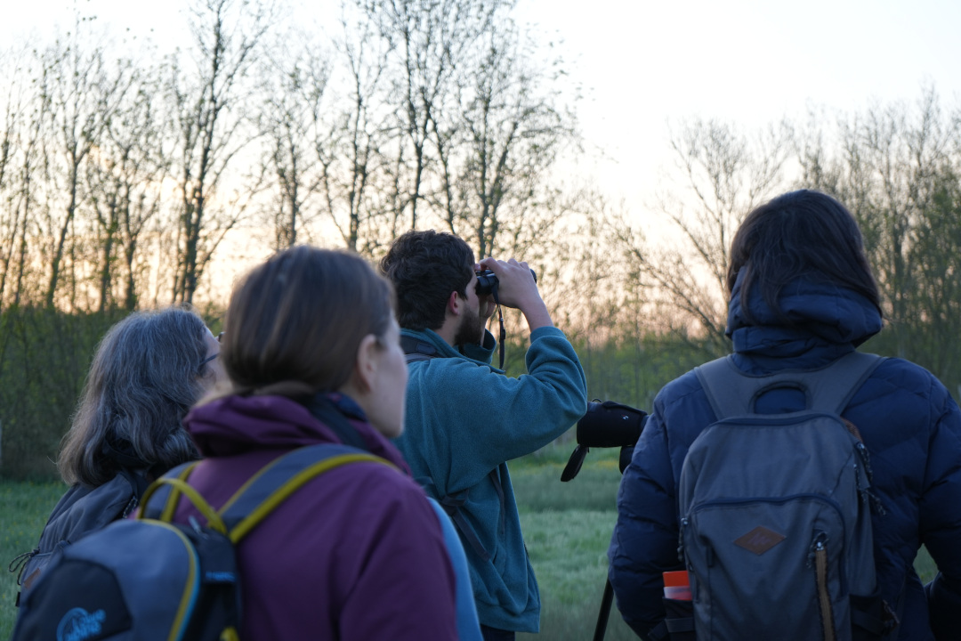 Observation en groupe