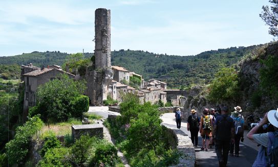Sortie dans le Minervois