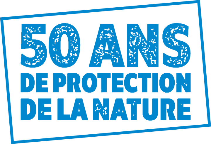 Formation en droit de l'environnement