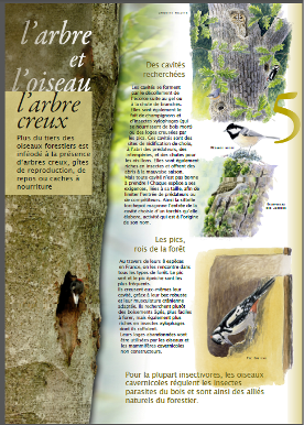 L’arbre et l’oiseau