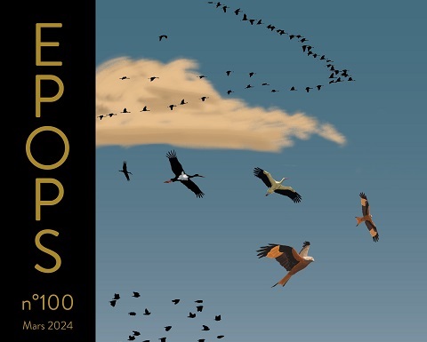 EPOPS n°100 - Migration en Limousin