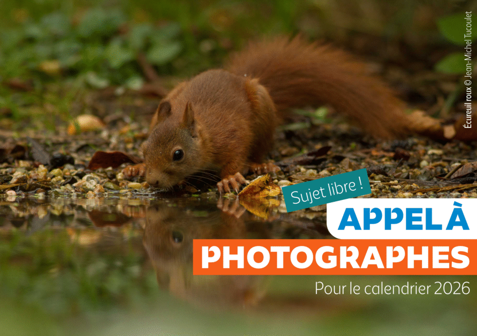 Appel à photographes : 16ᵉ édition du calendrier de la LPO Anjou