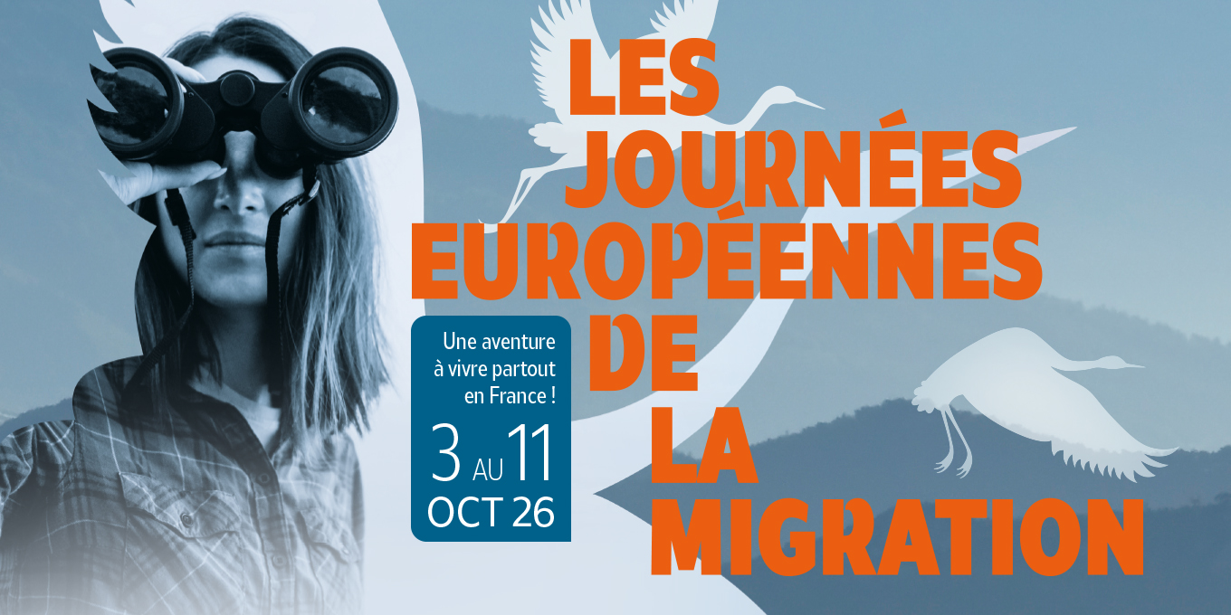 Du 3 au 11 octobre, laissez-vous porter par un phénomène extraordinaire : la migration