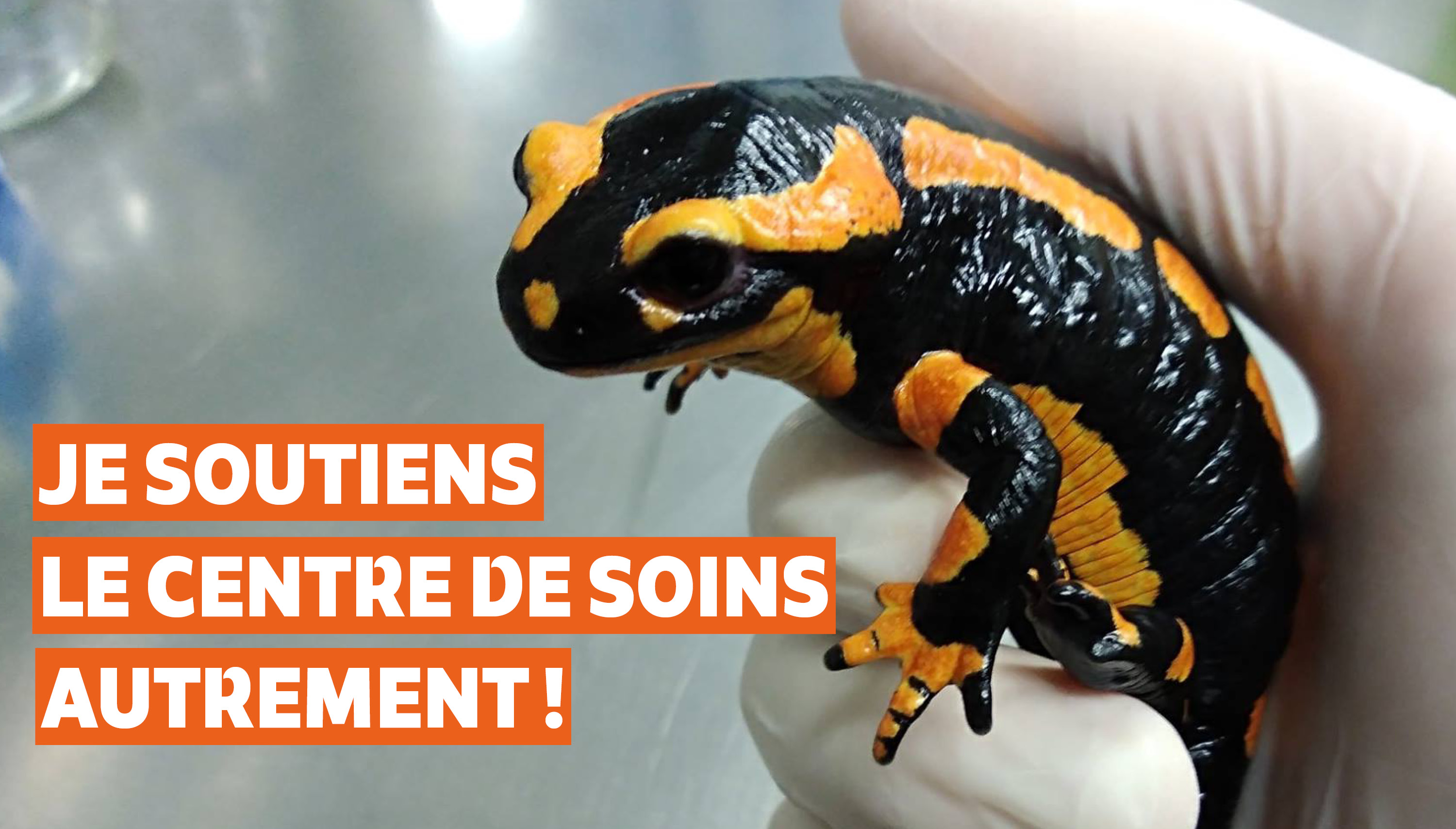 Soutenir autrement le Centre de soins