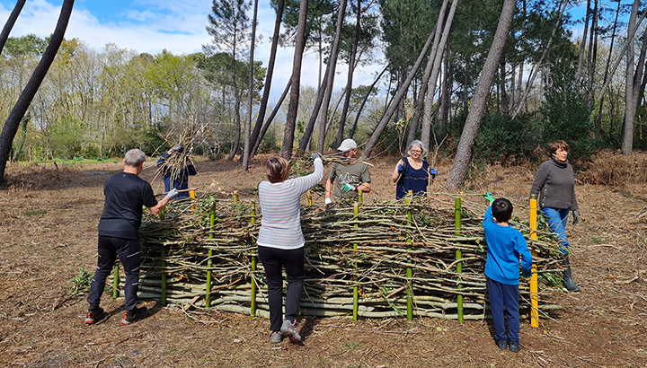 Chantier participatif : haie sèche