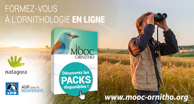 Bandeau promotionnel du Mooc Ornitho