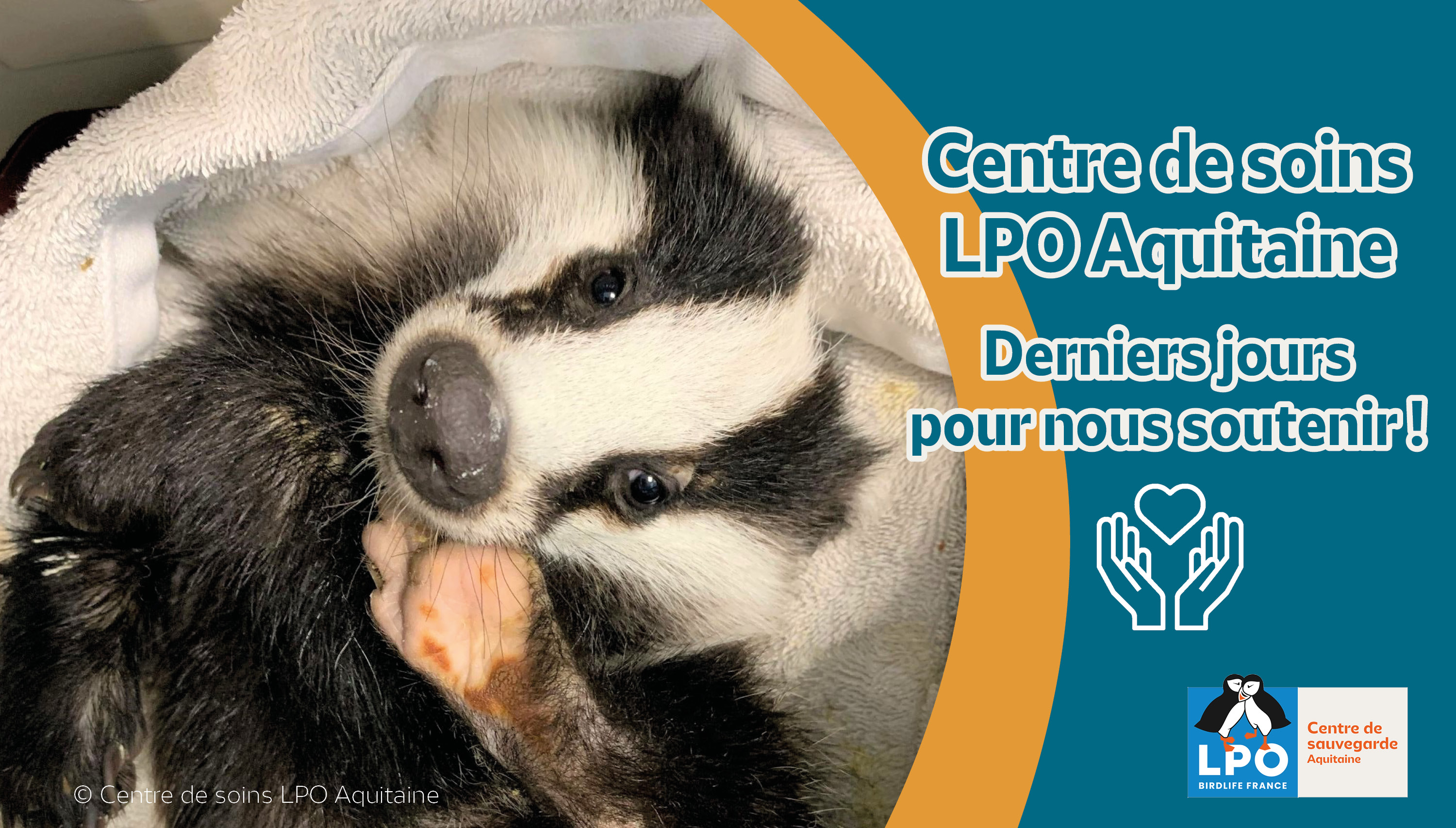 Derniers jours pour soutenir nos pensionnaires !
