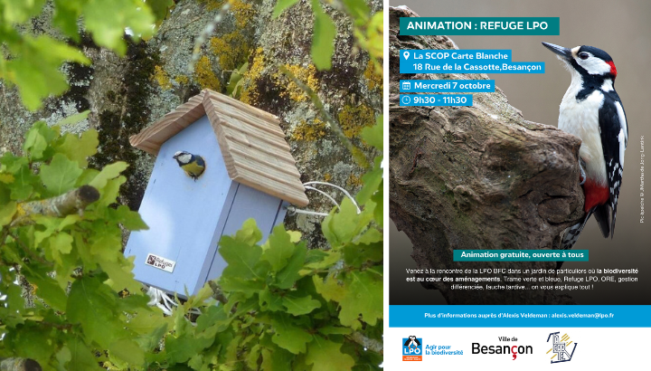 Animation : Refuge LPO