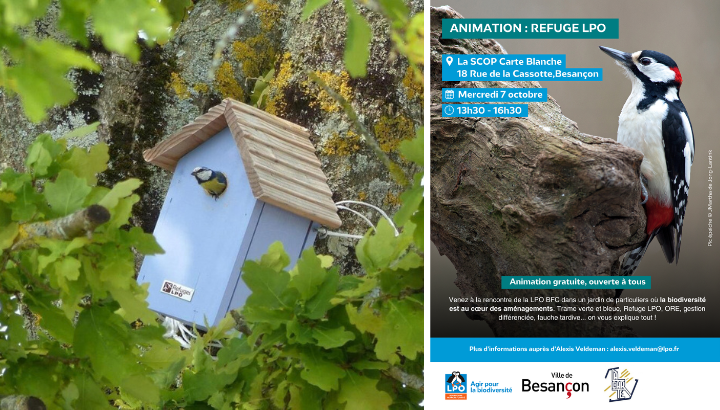 Animation : Refuge LPO