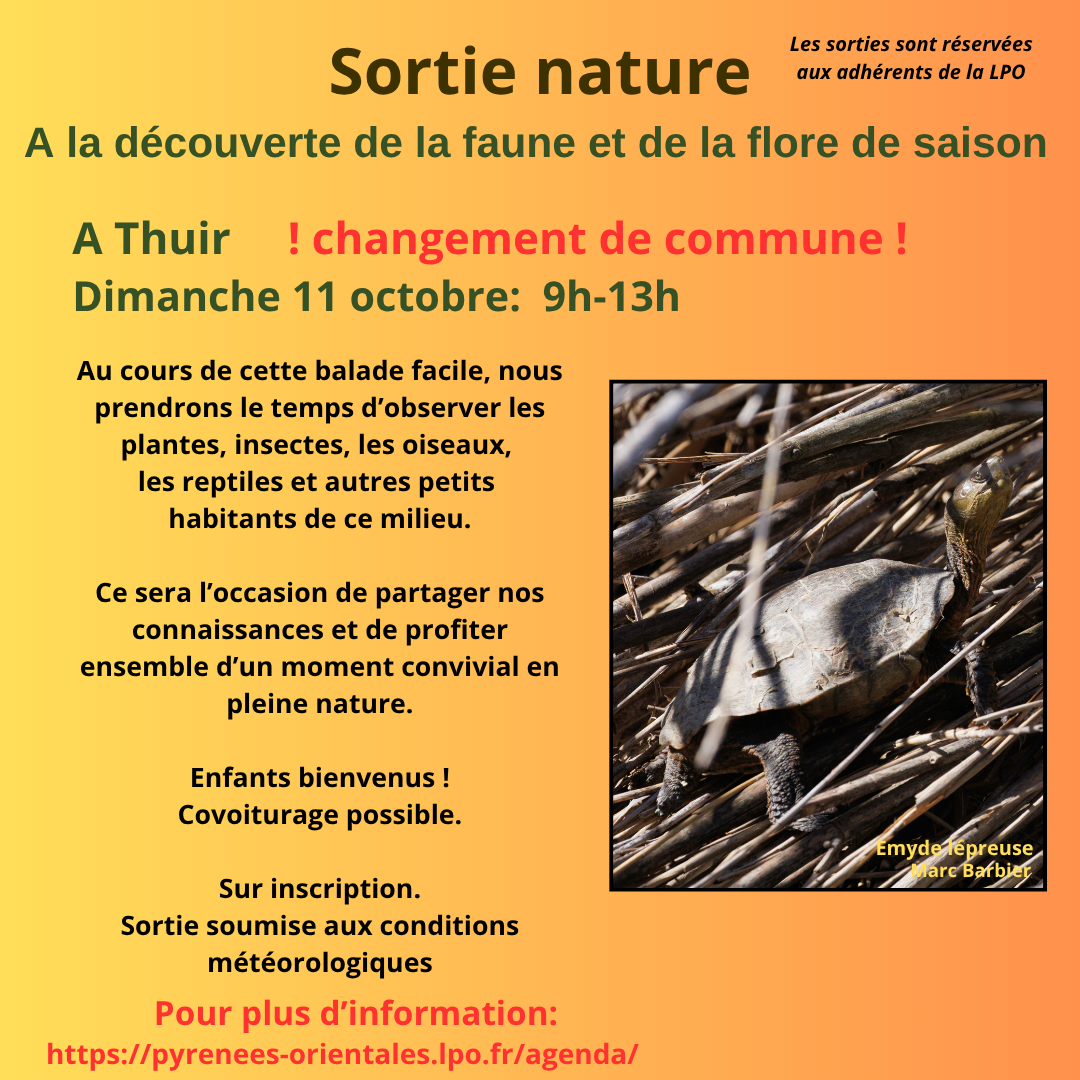 La faune et la flore de saison à Thuir