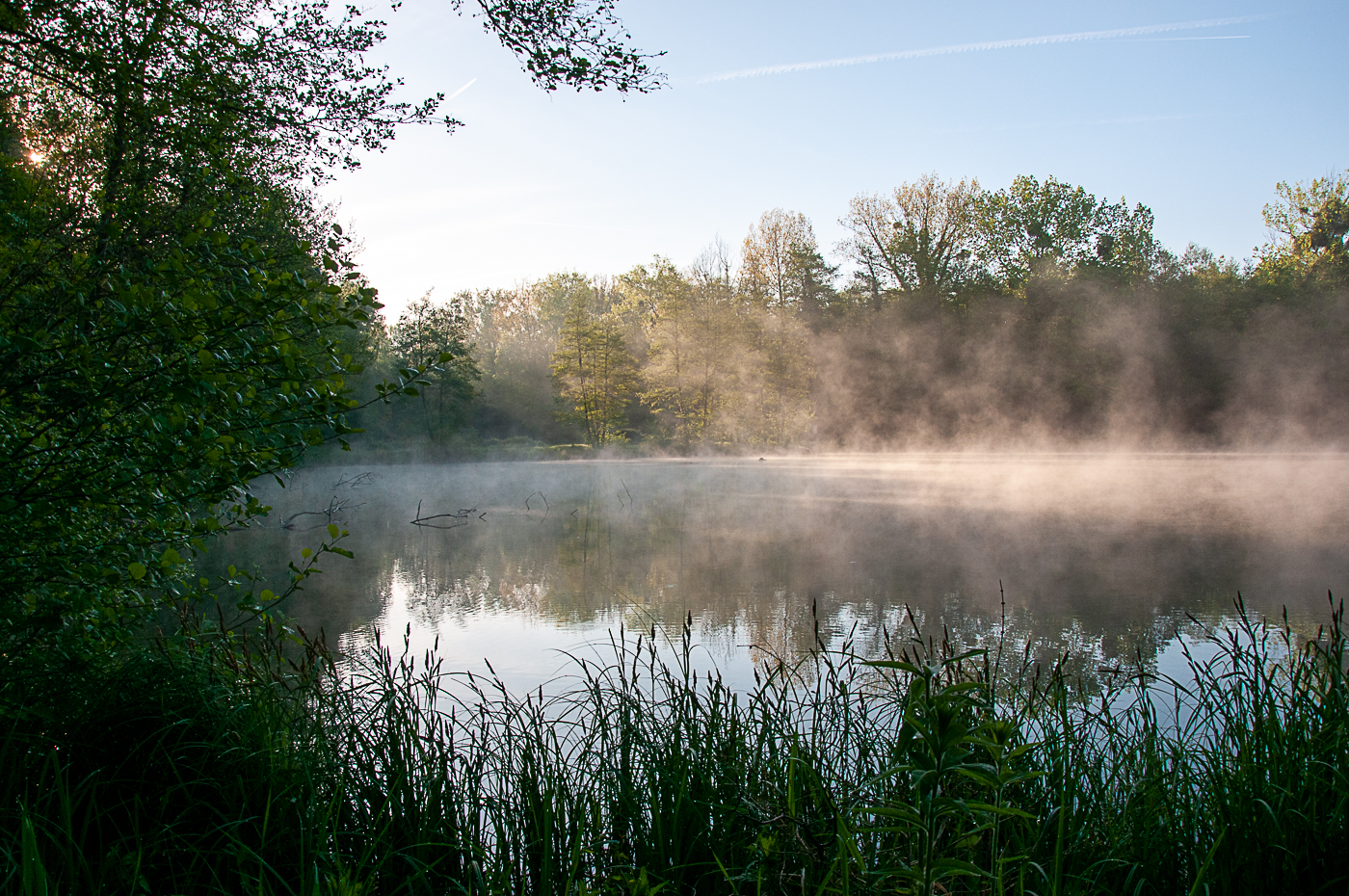 Marais de Chantraine