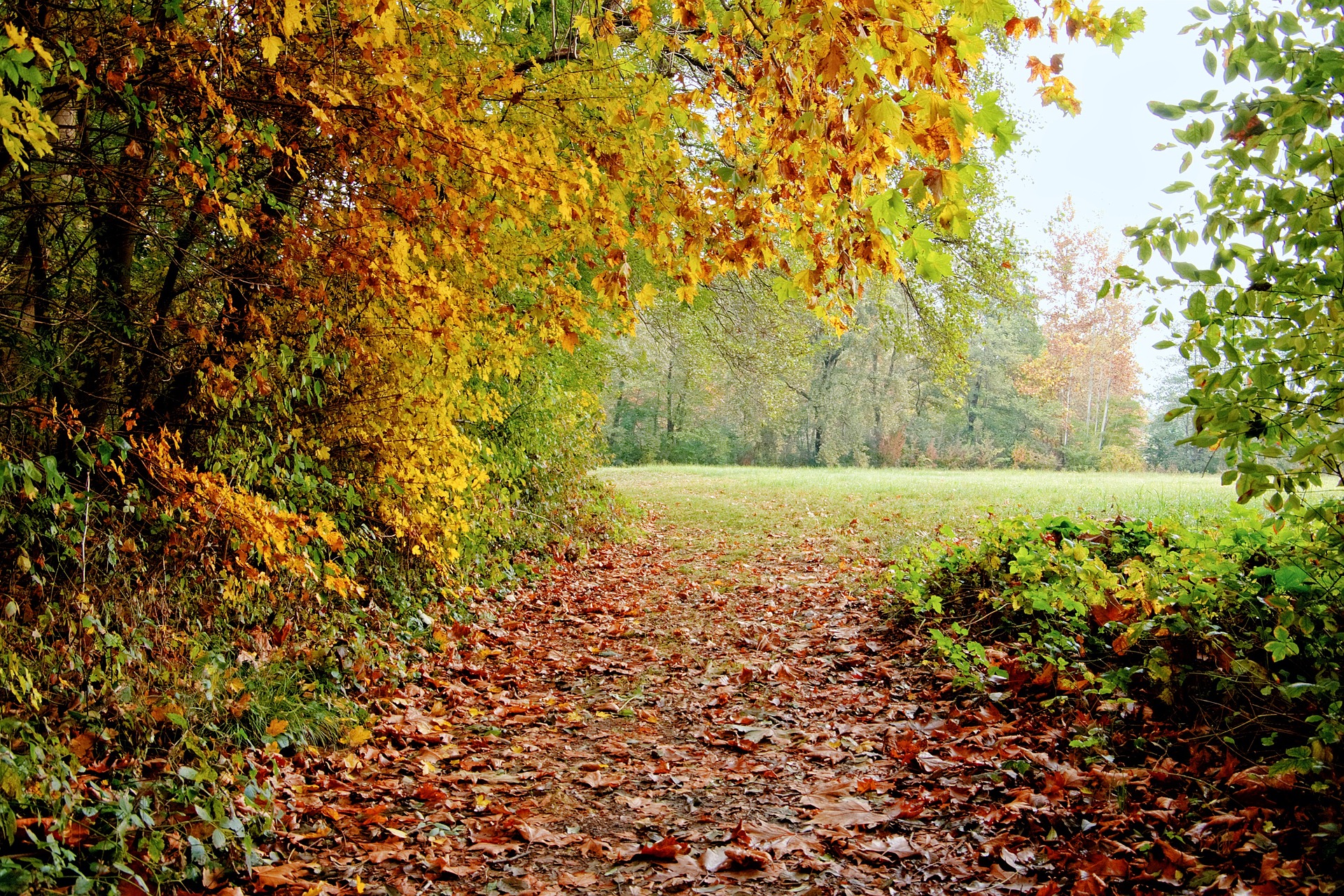 Trésors de l’automne