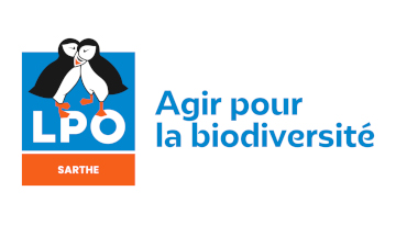 Compagnons d'hiver