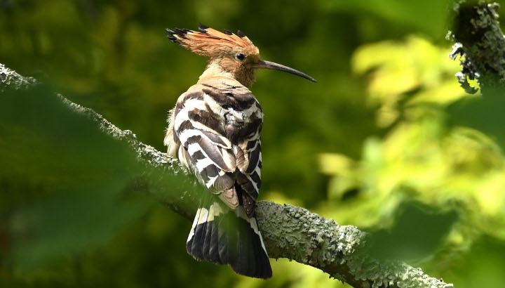 Trouvez votre formation nature !