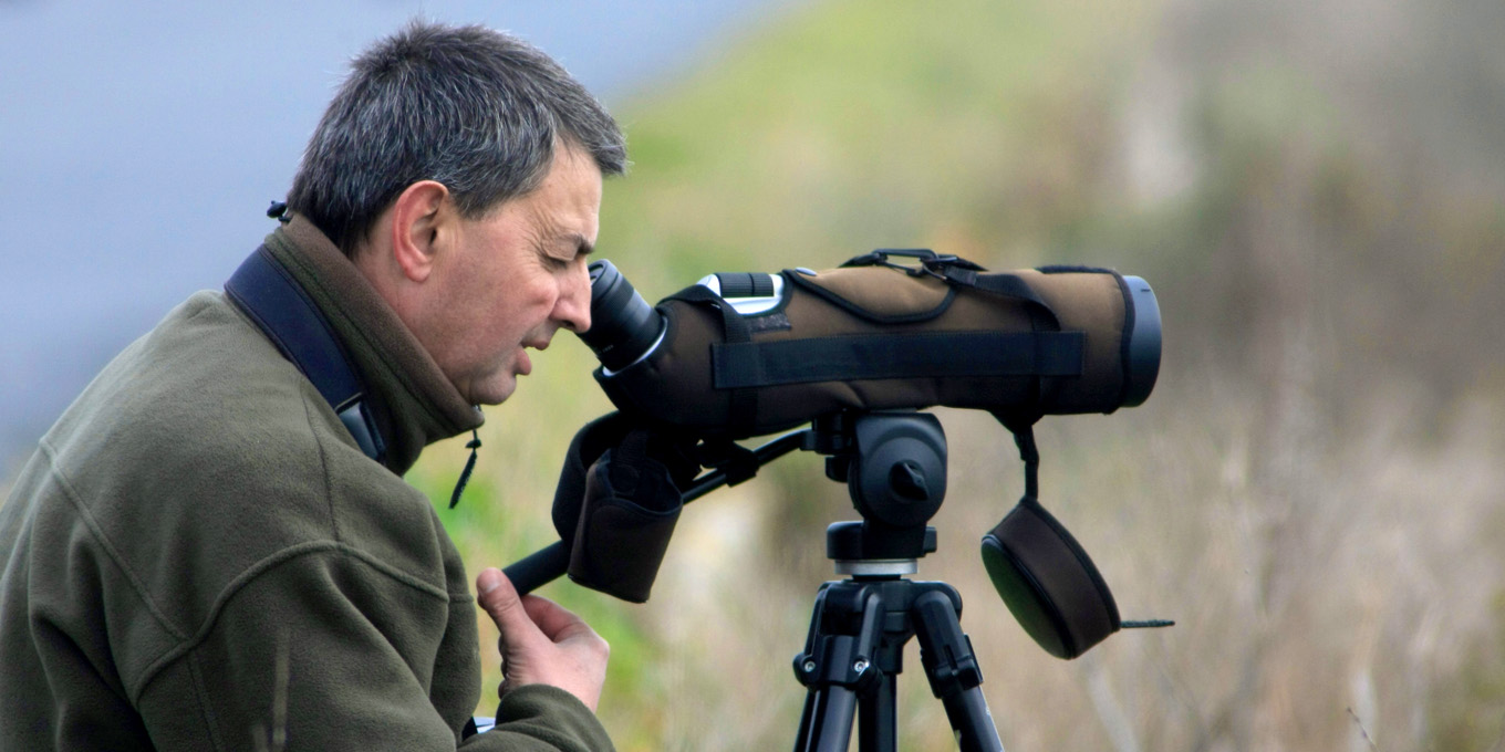 Comptages et suivis naturalistes en Poitou-Charentes