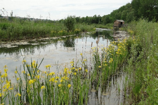Parc départemental de la Haute-Île