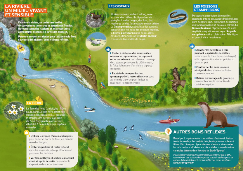 Partageons la rivière : les bons réflexes pour une sortie sans risque