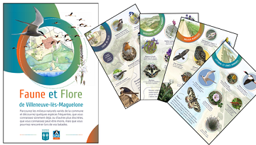 De nouveaux outils de valorisation de la biodiversité en accompagnement de communes de la région Occitanie