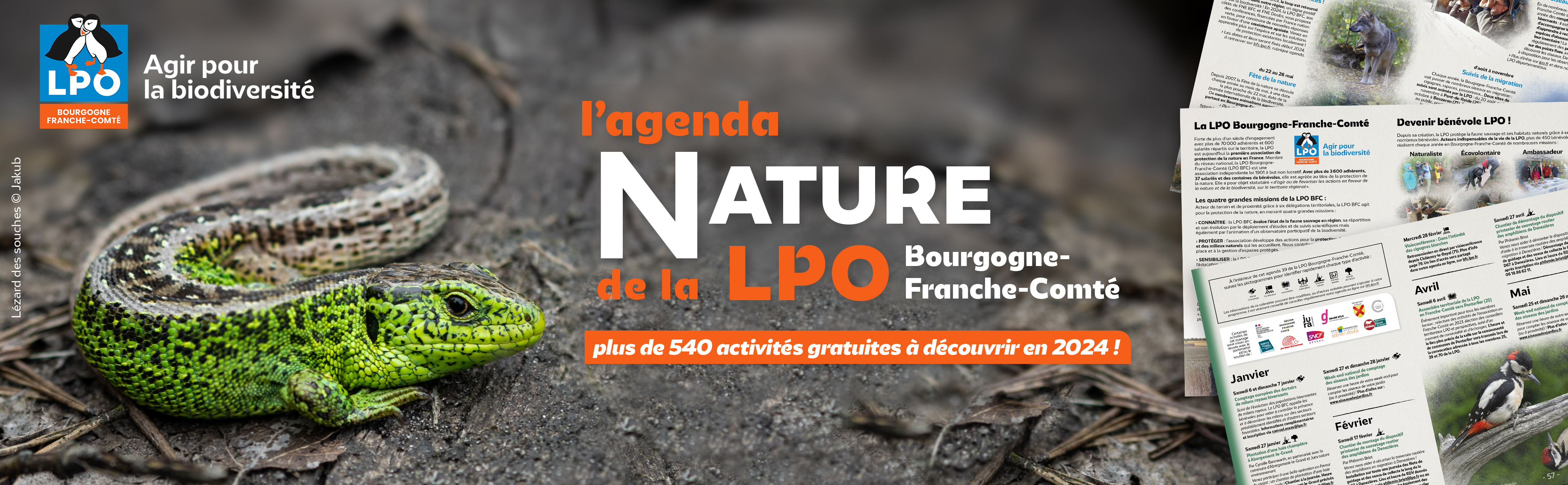 Nouvel agenda nature : 540 activités nature à découvrir en 2024, un record !