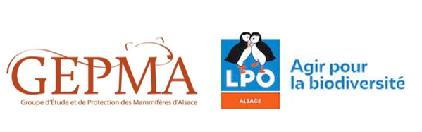 logos du GEPMA et de la LPO Alsace