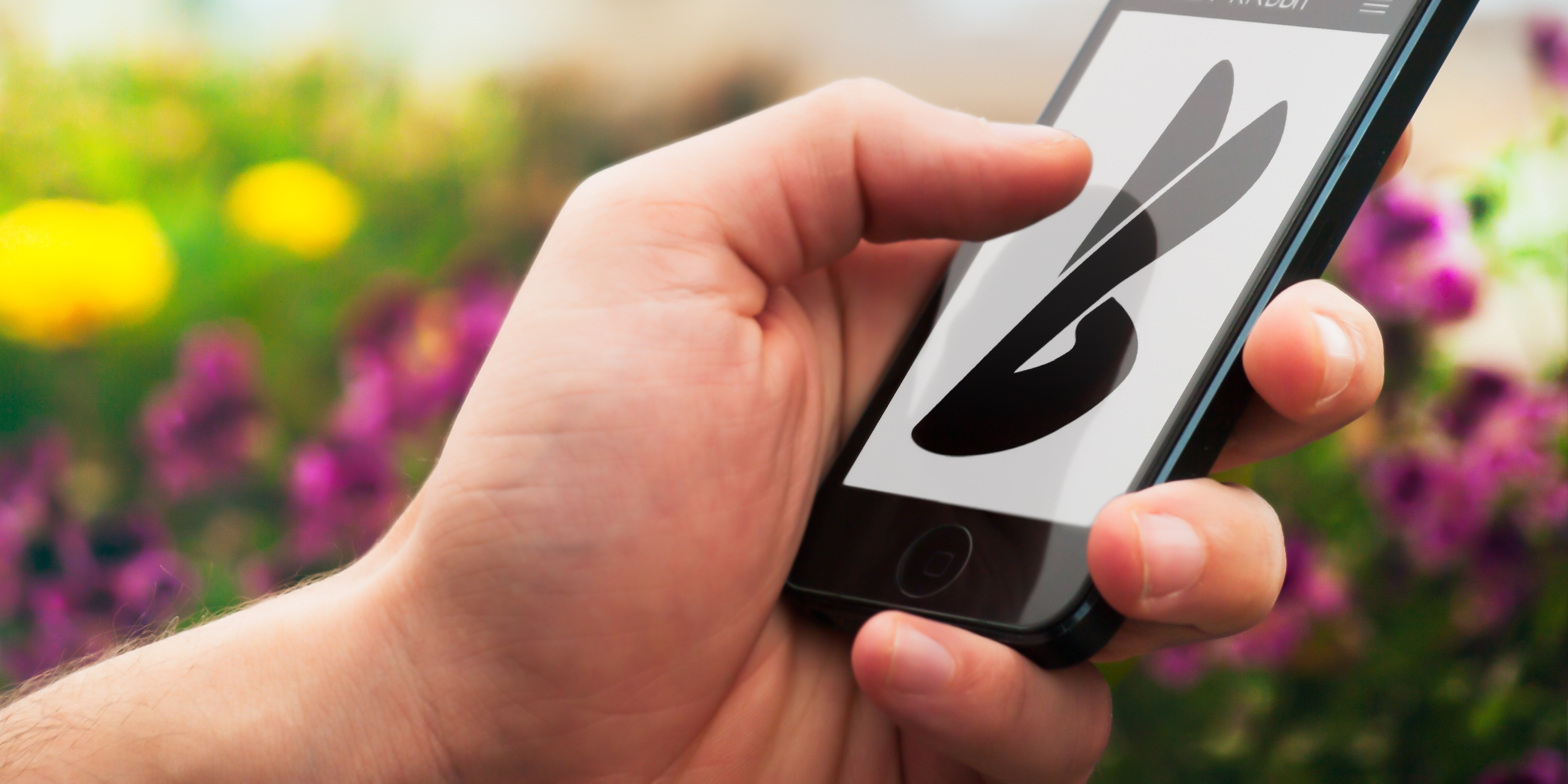 Saisie sur smartphone (Naturalist)