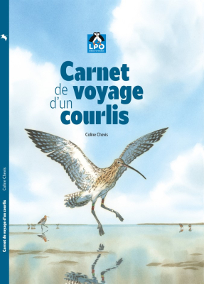 Découvrez la BD Carnet de voyage d'un Courlis de Coline Chevis