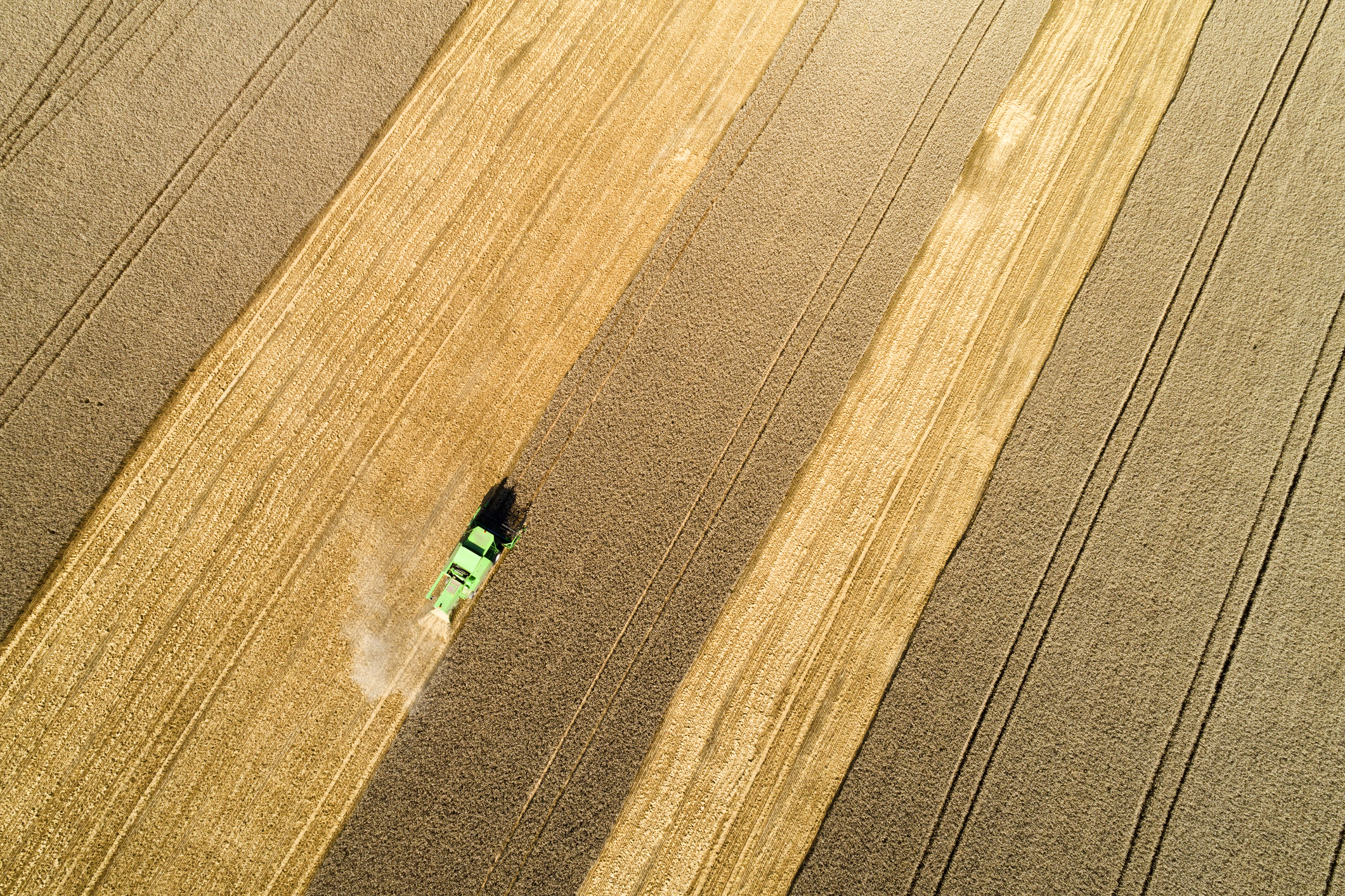 Loi d’orientation agricole : la biodiversité sacrifiée sur l’autel de l’agriculture intensive !