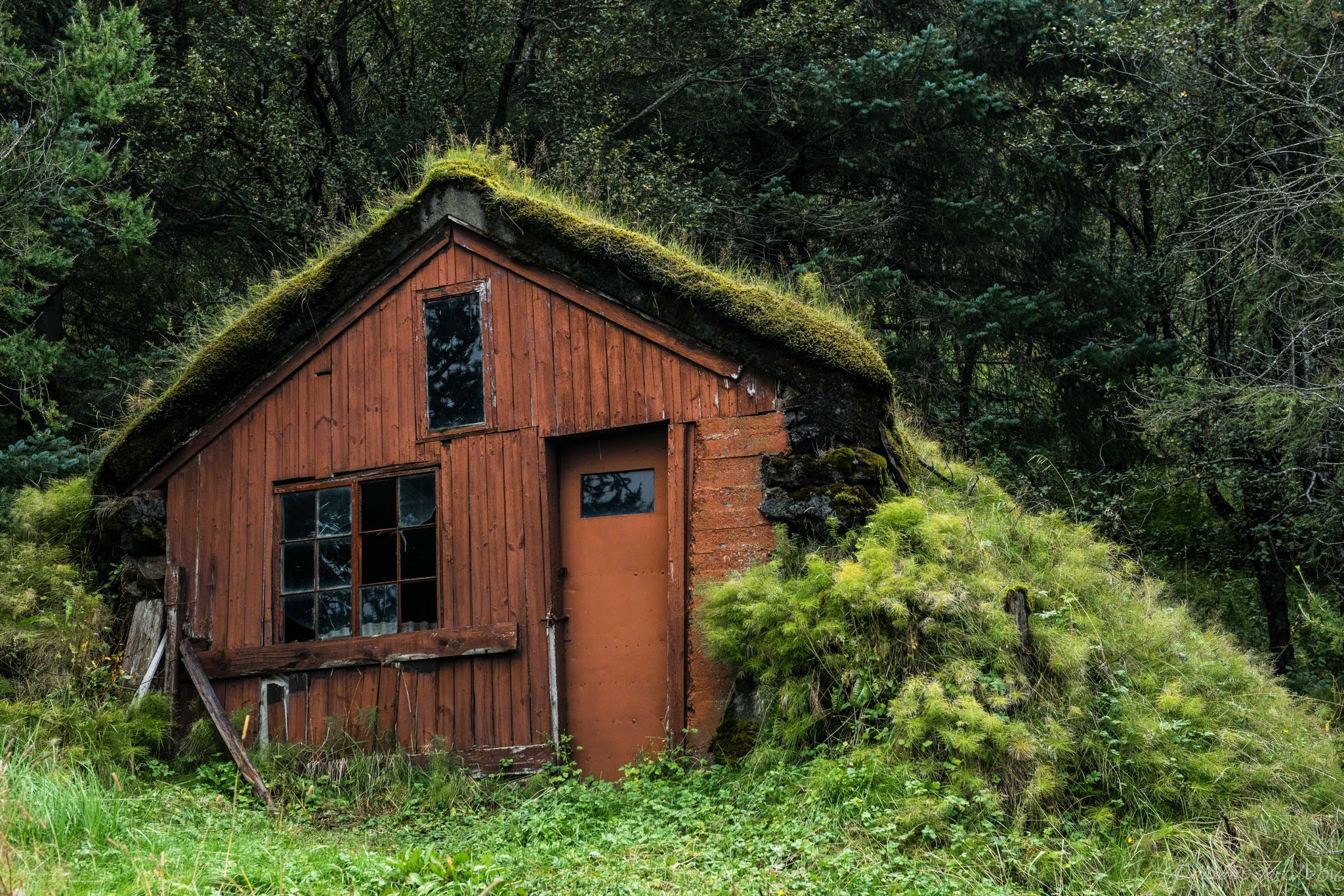 Cabane recouverte de verdure