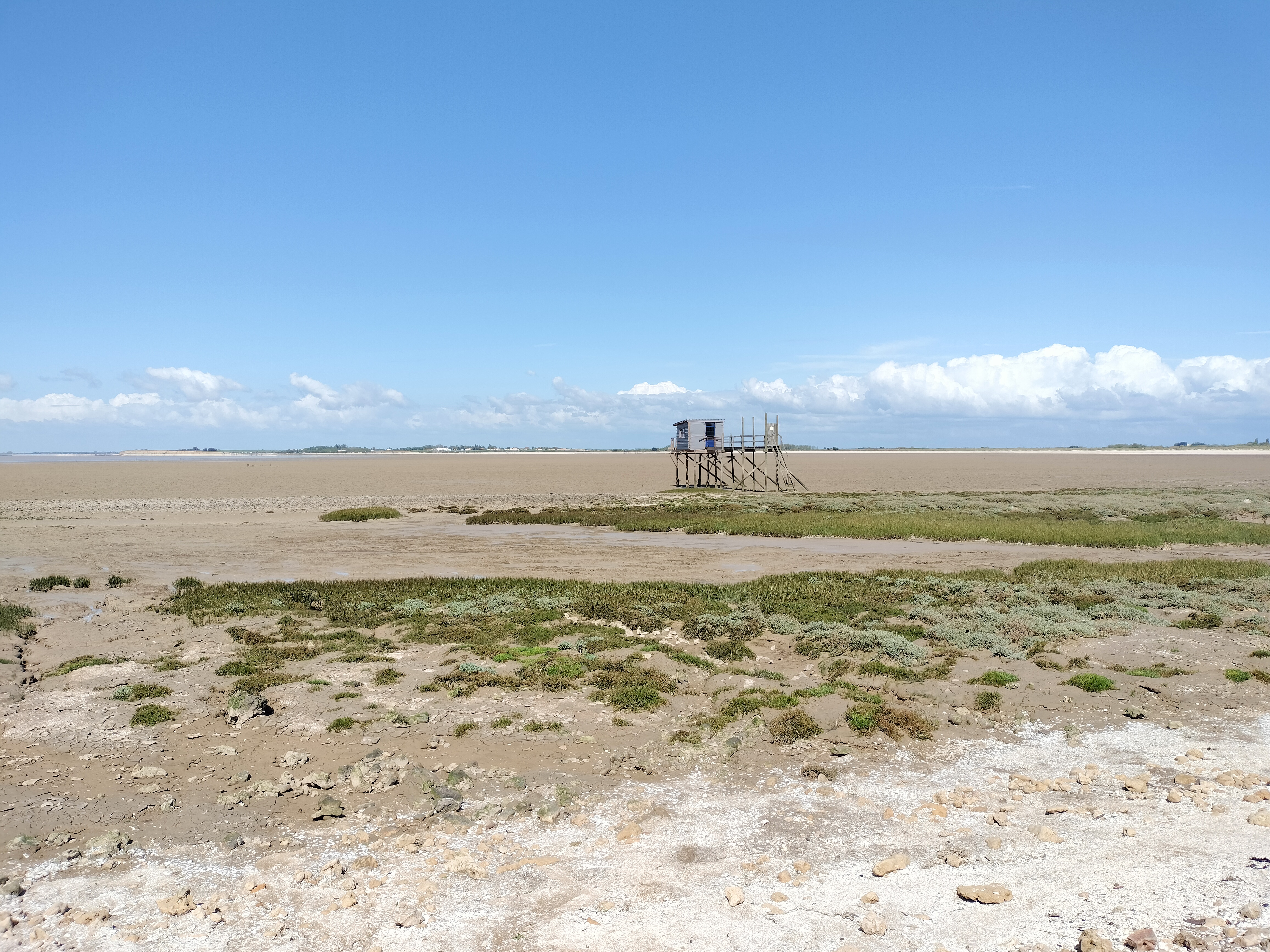 « La Baie d’Yves au fil des temps » Temps 2 : L'Anse de Fouras