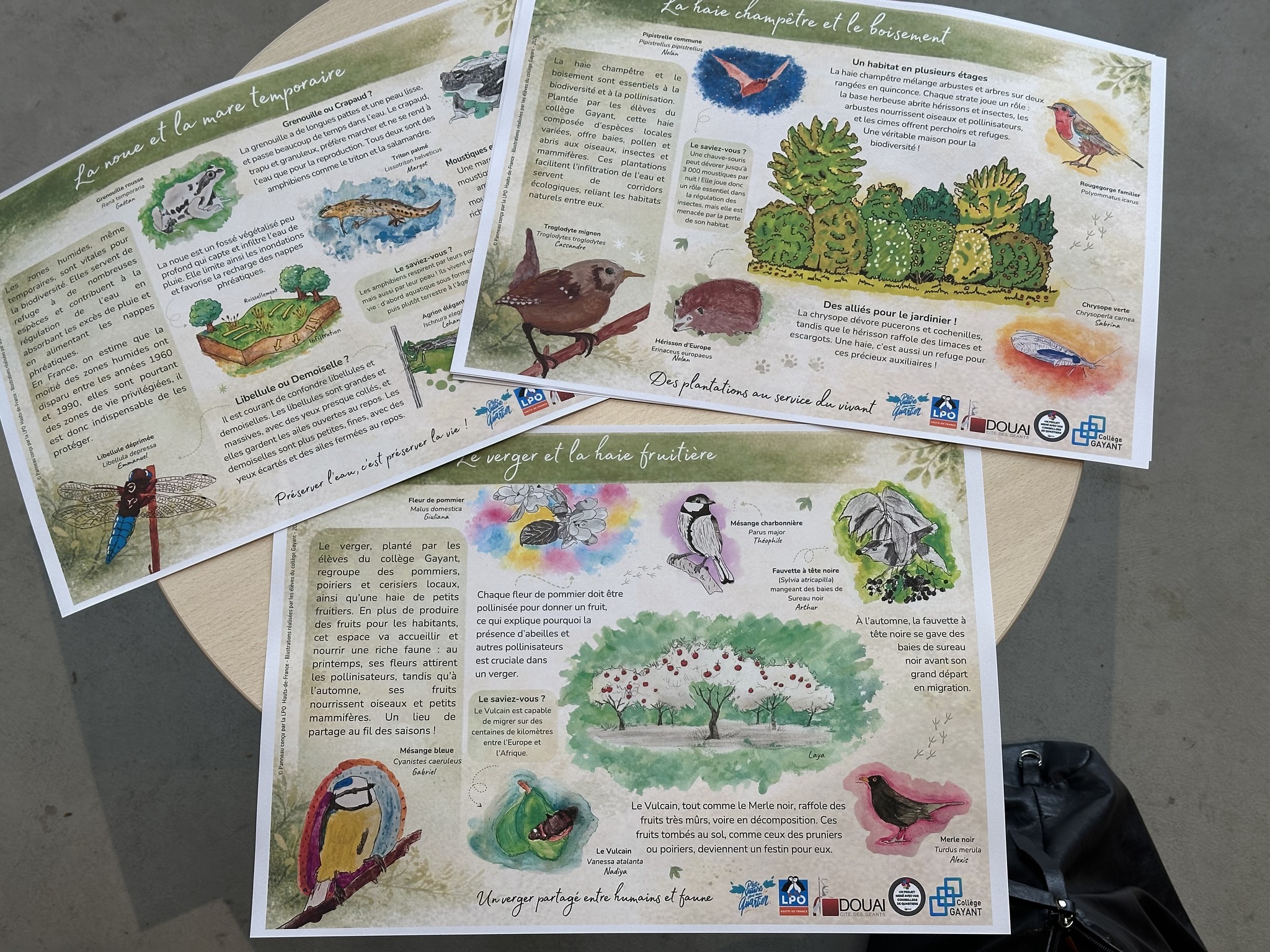 « Plus de Nature dans mon Quartier » à Douai