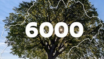 Plus de 6000 adhérent·es à la LPO en région Occitanie et Pays catalan